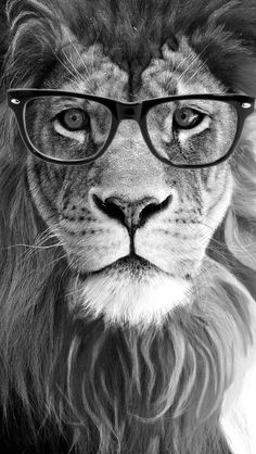 a black and white photo of a lion wearing glasses