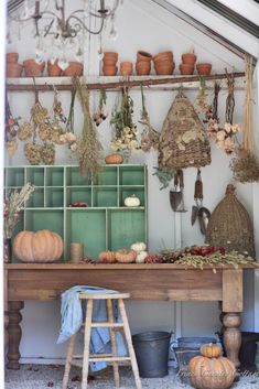 a wooden table topped with lots of potted plants next to a shelf filled with hanging baskets