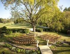 an outdoor ceremony with rows of chairs and a large tree in the background, surrounded by greenery