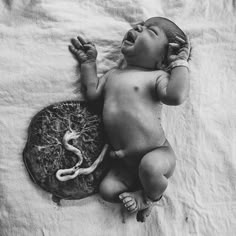 a black and white photo of a baby laying on a bed with a snake in it's mouth