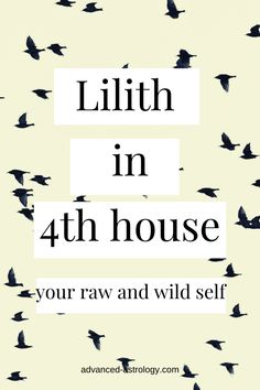 a poster with birds flying in the sky and words that read, little in 2nd house your raw and wild self