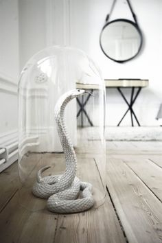 a white snake in a glass case on a wooden floor next to a table and mirror