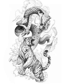 Tiger Design Tattoo, Tiger Drawing Tattoo, Lion And Tiger Tattoo, Tiger Vs Dragon, Tigre Y Dragon, Dragon Tattoo Back, Japanese Tiger Tattoo, Tiger Sketch, Big Cat Tattoo