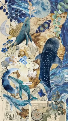 a collage of whales and other marine creatures