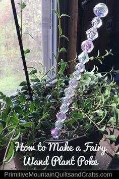 a potted plant that has some plants in it and the words how to make a fairy wand plant goe