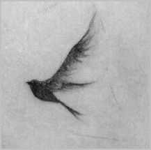 a black and white photo of a bird's tail