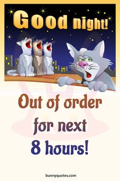 an image of a poster with two cats and the words good night out of order for next 8 hours