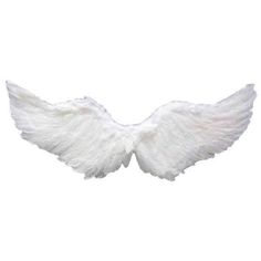 Feather Angel Wings Dog Halloween CostumeDoggyTopia Costume Angel Wings, Juliet Capulet Costume, Angel Wings For Costume, Angle Halloween, Angel For Halloween, Joan Of Arc Costume, Angel Wings Halloween, Ideas De Halloween, Angel Wings Cosplay