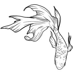 a black and white drawing of a koi fish with its tail curled up in the air