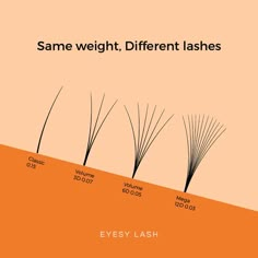 Lashes Lengths Chart, Lash Tech Advice, Eyelash Extension Training Manual, Lash Names For Eyelashes Business, Lash Length Chart, Lash Company Name Ideas, Lash Business Names Ideas, Lash Logo Design Ideas, Esthetician Logo Ideas