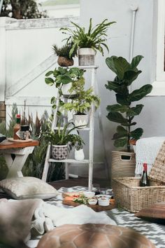 🌱 Ready to level up your work-from-home game? 🍃 Discover how indoor plants can make your home office a happier, more productive sanctuary! From boosting creativity to purifying the air, these green wonders will transform your space in no time! 🌿📚 Bohemian Room Decor, Support Pour Plante, Bohemian Room, Ficus Lyrata, Fiddle Leaf Fig Tree, Fiddle Leaf, Fiddle Leaf Fig, Garden Kits, Indoor Gardening