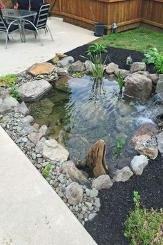 a small pond in the middle of a backyard