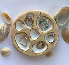 shells and rings are arranged on a white surface