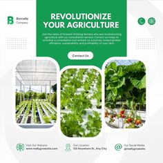 Agriculture Design Ideas, Farming Poster Design, Collage Ads, Gardening By The Moon, Agriculture Design, Social Media Post Ideas, Bio Food, Sustainable Gardening, Real Estate Marketing Design