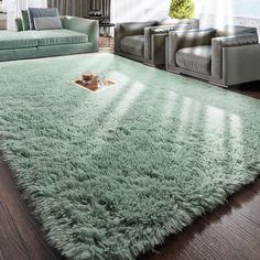 a living room filled with furniture and a green rug