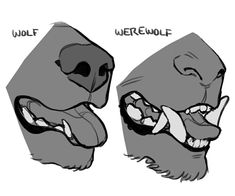 two different angles of an animal's head with the words werewolves written on it