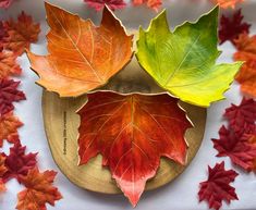 three leaf shaped plates sitting on top of a table