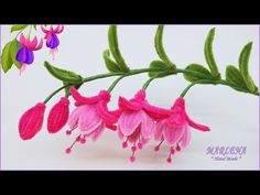 pink flowers with green leaves on a white background and purple text underneath it that says,