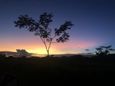 the sun is setting behind a lone tree