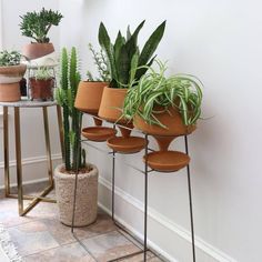 three potted plants sitting on top of metal stand next to each other in front of a white wall