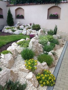 a garden with rocks and flowers in it