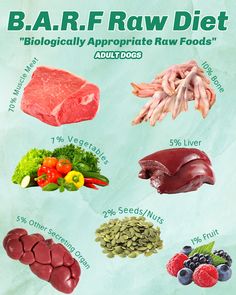 an info sheet with different foods and their names on it, including meats, vegetables, fruits, and fish