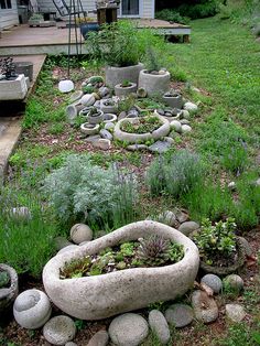 a garden with rocks and plants in it