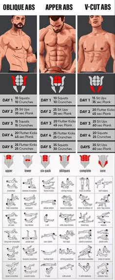 an info sheet shows how to do the upper and lower body workouts for men