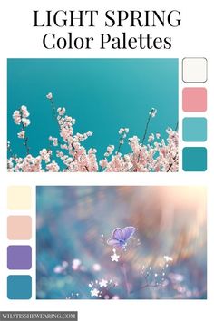 the light spring color palettes