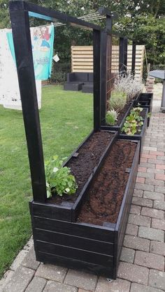 an outdoor garden with plants growing in it