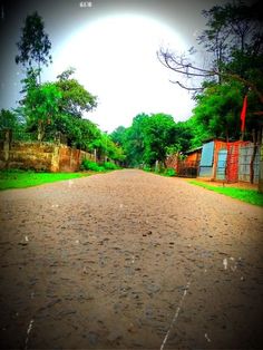 a dirt road with trees and buildings in the background