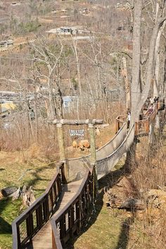 people are walking on a rope bridge in the woods with trees and buildings behind them