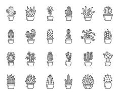 a set of cactus plants in pots with different shapes and sizes, line art style