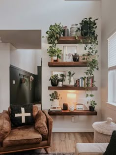 a living room filled with furniture and lots of plants on top of wooden shelving