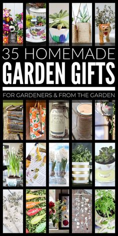 Homemade Garden Gifts Herb Garden Gift Ideas Diy, Garden Party Gift Ideas, Homemade Gifts For Gardeners, Gifts For Gardeners Diy, Garden Party Gifts, Diy Gardening Gifts, Diy Gifts For Gardeners, Garden Gifts Ideas