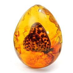 an orange and black glass egg with a butterfly on it's back side, against a white background