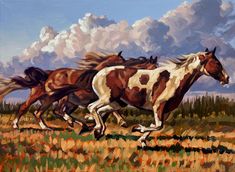 three horses are running through the grass in front of a sky filled with fluffy clouds