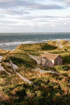 an old shack on the beach near the ocean with grass and bushes growing around it