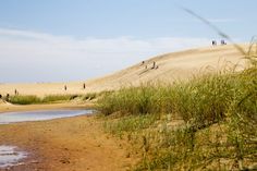 people are walking on the sand dunes near water and grass in the foreground, while others walk along the beach