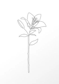 a line drawing of a single flower on a white background with space for the text