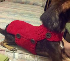 a dog wearing a red sweater with buttons on it's chest sitting on a bed