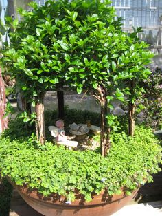 a potted planter filled with lots of green plants and small figurines