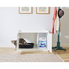 a cat sitting on top of a white shelf next to a tv