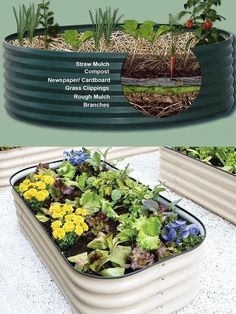 the garden tub is full of plants and flowers, with instructions on how to grow them