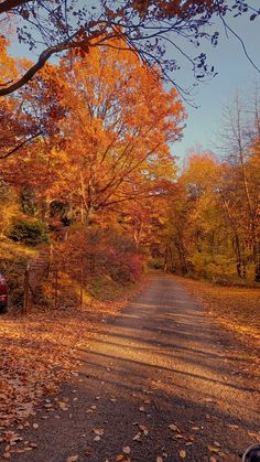 a red car parked on the side of a road surrounded by autumn leaves and trees