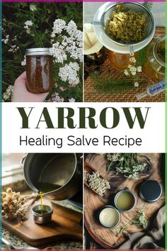 Yarrow Salve, Natural Electrolyte Drink, Balms And Salves, Herbal Salve Recipes, Medicinal Herbs Remedies, Herbal Medicine Recipes, Diy Herbal Remedies