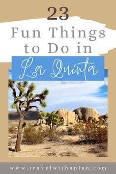 joshua tree in the desert with text overlay reading 23 fun things to do in las quinta