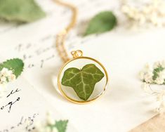 Celebrate the beauty of nature with this elegant pressed leaf necklace, featuring a real ivy leaf 🍃 preserved in resin and set in a delicate gold design. This botanical necklace is perfect for those who love nature-inspired jewelry and the timeless charm of ivy jewelry. Looking for a thoughtful birthday gift for mom? 🎉 This delicate gold necklace is a meaningful way to show your love, offering a piece of nature she can carry with her every day. 🌿 Our Pressed Leaf Jewelry: https://www.etsy.com Ivy Jewelry, Ivy Necklace, Botanical Necklace, Plant Necklace, Delicate Gold Necklace, Pressed Leaves, Jewelry Real, Birthday Gift For Mom, Real Leaves