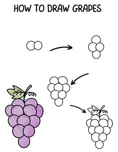 how to draw grapes for kids with pictures on the bottom and below it, which is labeled