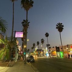 palm trees line the street in front of shops